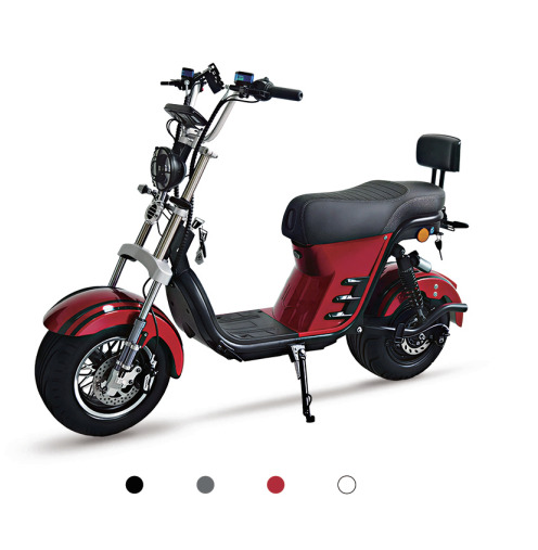 XFG02-1 Electric Vehicle