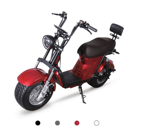XFG02 Electric Vehicle