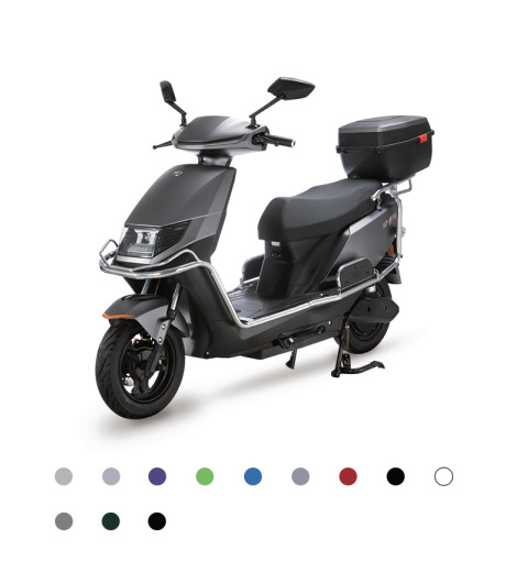 XFG09-1 Electric Vehicle