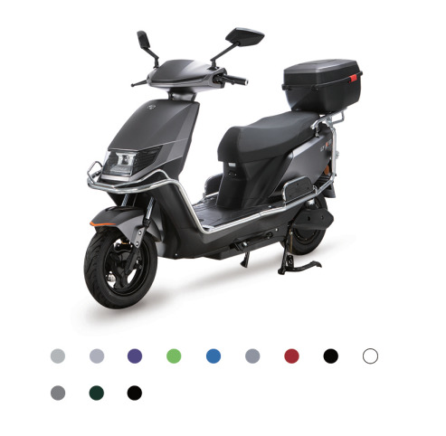 XFG09 Electric Vehicle
